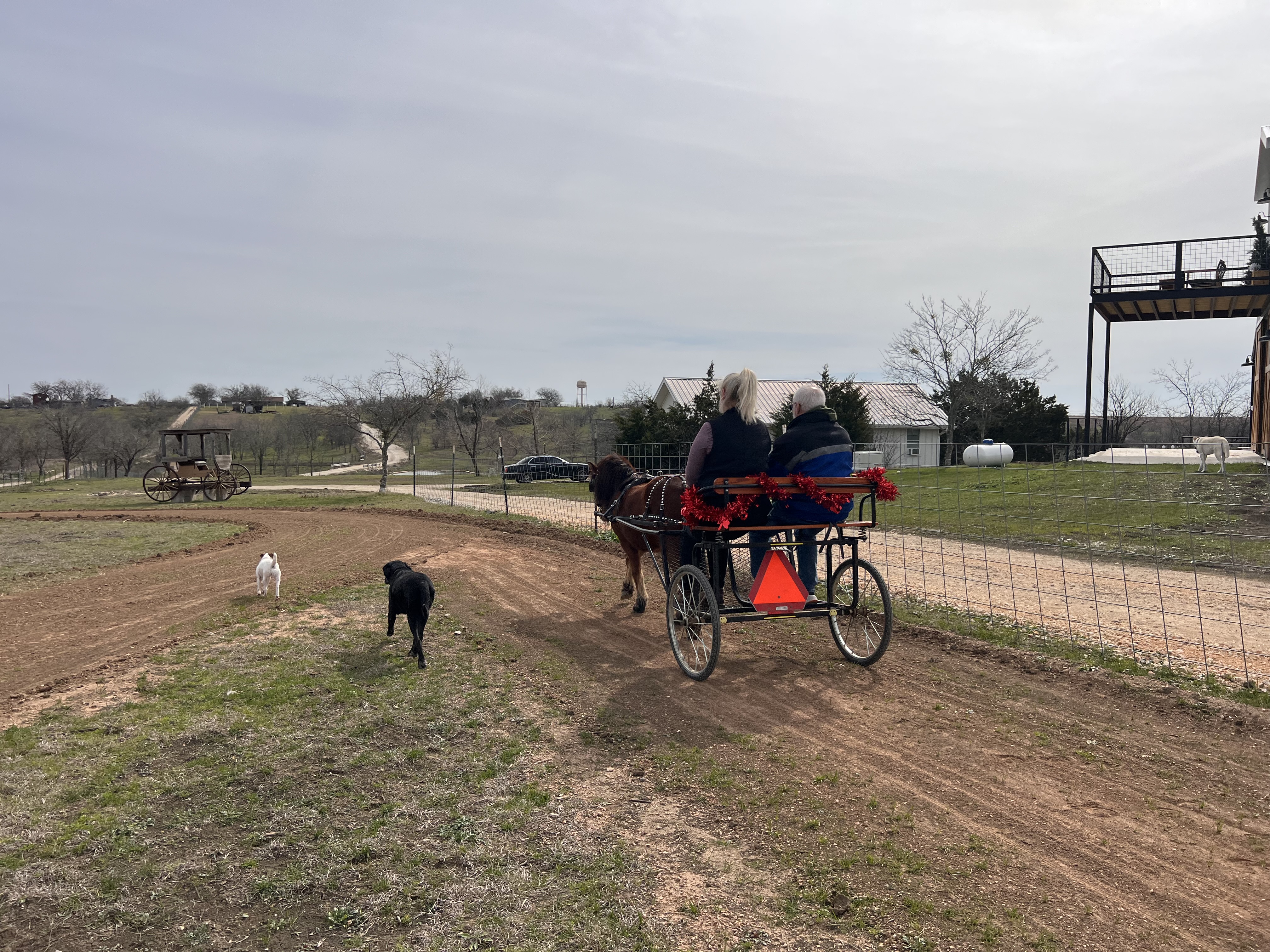 ./2023/02 - Texas/IMG_6858.JPG